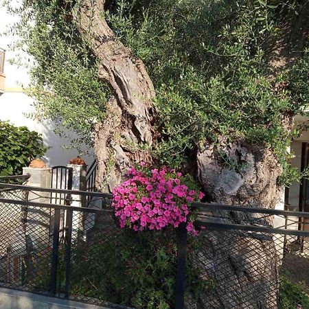 Villa Aegean Balcony Skála Kallirákhis Esterno foto